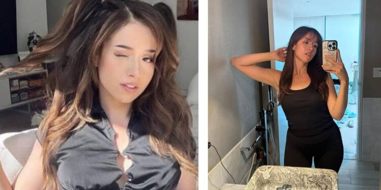 Pokimane Bude
