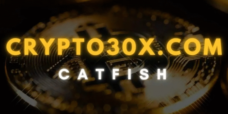 Crypto30x.com Catfish