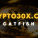 Crypto30x.com Catfish