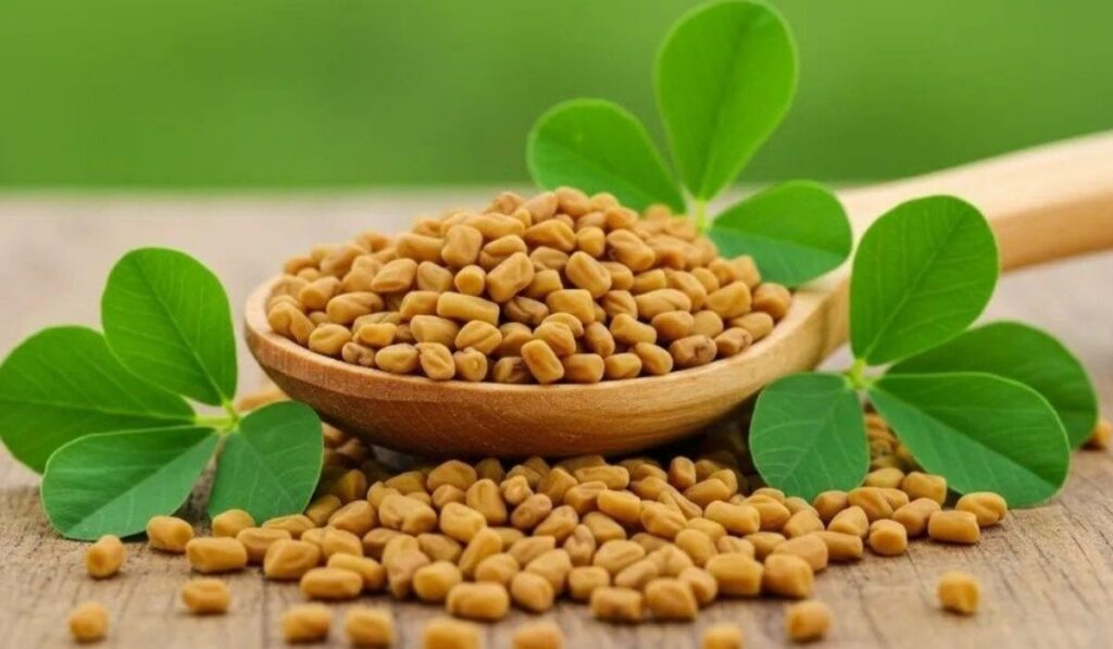 Ingredients in Wullkozvelex