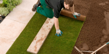 Lawn