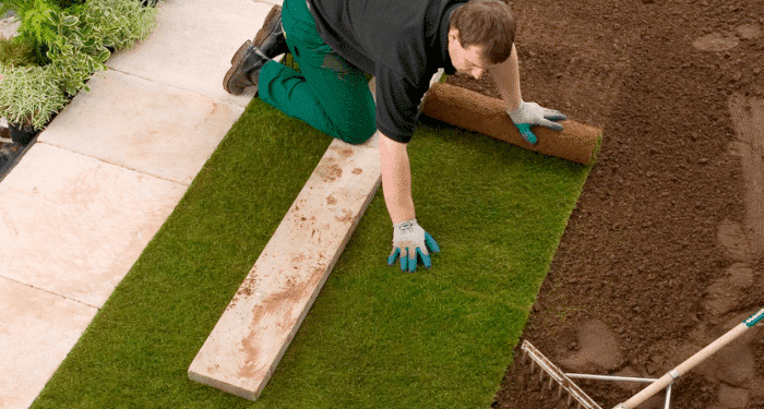 Lawn